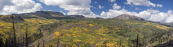 Flat Tops Fall 4851 57
